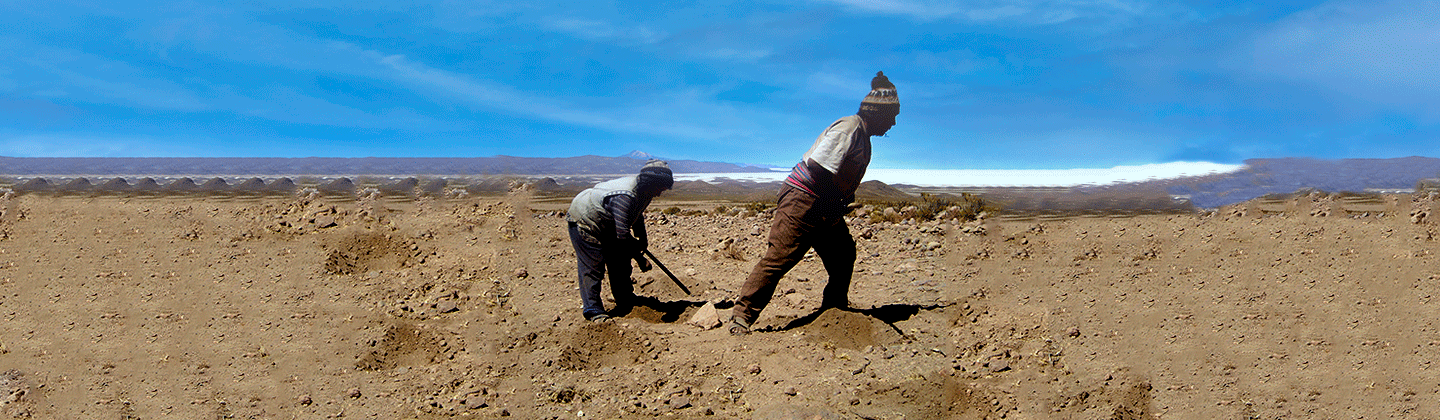Soil types