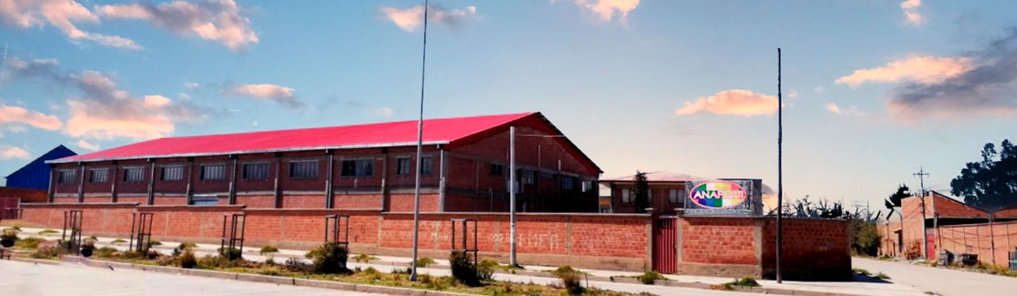 El Kenko Plant - El Alto