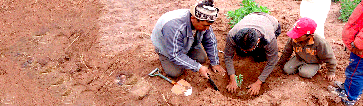 Área medio ambiental
