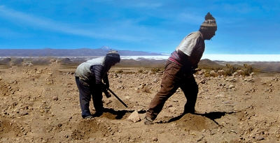 Tipos de suelo
