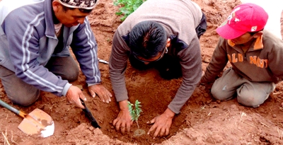 Área medio ambiental