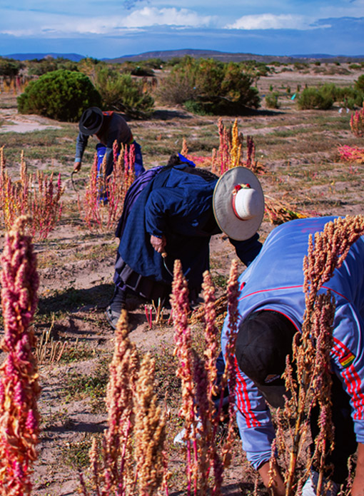 Comercio justo y equitativo